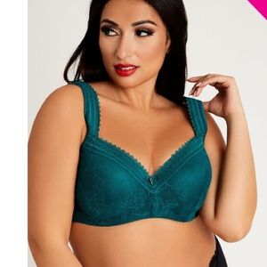 Ashley Stewart Lace Balconette Butterfly Bra